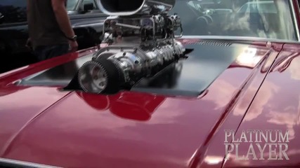 Mustang At Summit- Georgia On My Mind Series