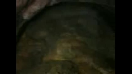 Видео0095