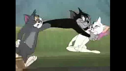 Tom and Jerry Parodia