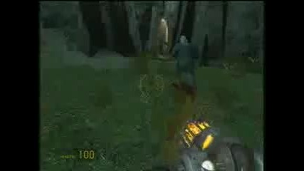 Half Life 