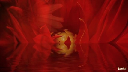 Yanni ~ In the Mirror
