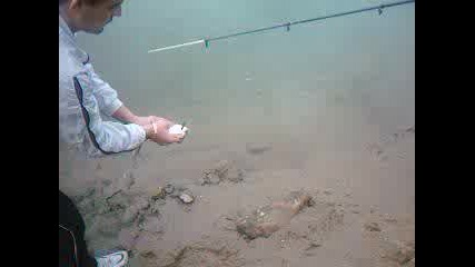 Риболов На Арда