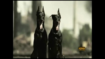 Галена 2011 - Не пред хората (official Video)