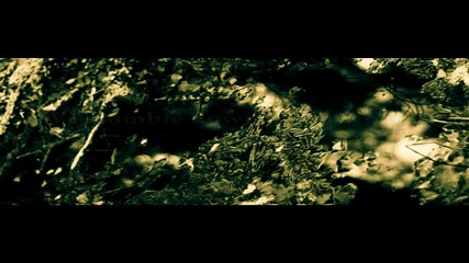 Noumena - Handful of Dust - Lyric Video
