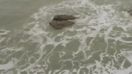 Жива Русалка В Морето (видео)