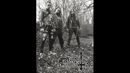 Terrorhammer - Hammer Of The Terror Cult