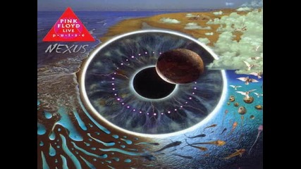 Sam Brown & Pink Floyd - The Great Gig in the Sky (1994)