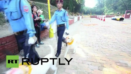Nepal: Police officers show their love for dogs in Tihar celebrations