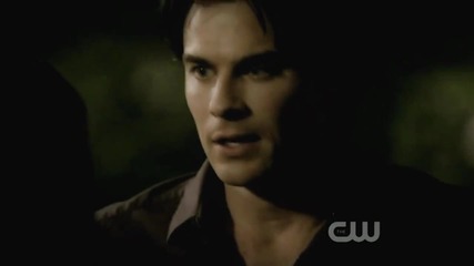 • Damon & Elena • Feel Free To Ignore...
