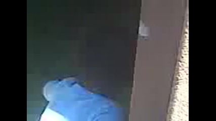 bebe pusi cigara 
