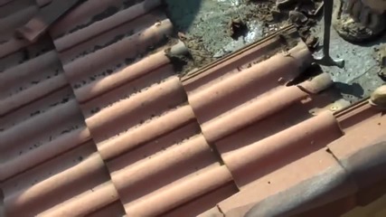 Прилепи под керемидите на покрив