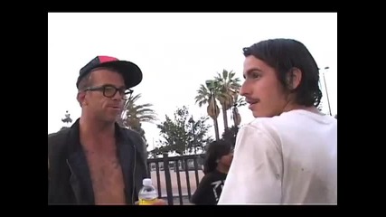 Skatepark Round - Up - Toy Machine Yardsale 