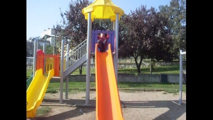 Sdc13184