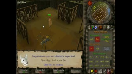 Runescape - Zero Max