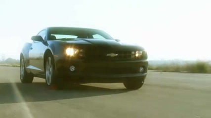 In Search of the People Pony Car 