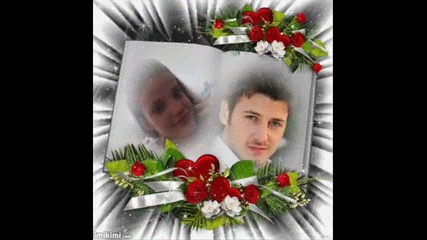 Steli