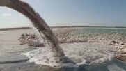 Кадри от дрон показват хиляди мигриращи пеликани в Израел (ВИДЕО)