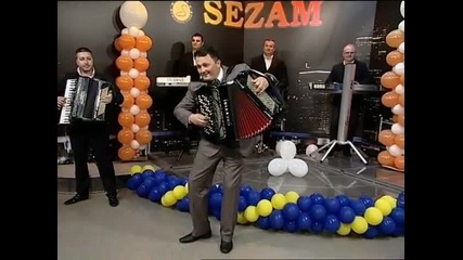 Sasa Bogosavljevic - Suletovo kolo