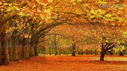 Autumn leaves-есенни листа-andre Rieu