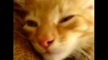 Qko Klip4e :d