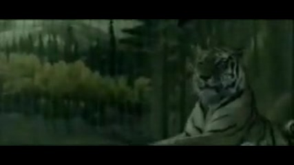 Rise Against - Give It All