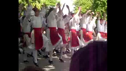 Празник На Читалище цвят - Видин - Цветница