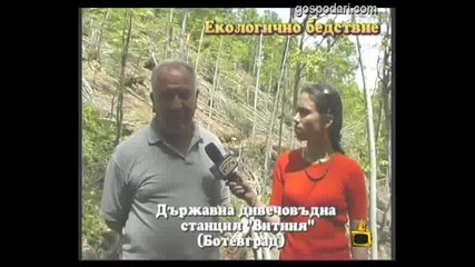 Екологично бедствие