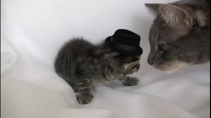 много тъжно видео