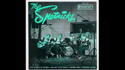 The Spotniks - Jonny Guitar