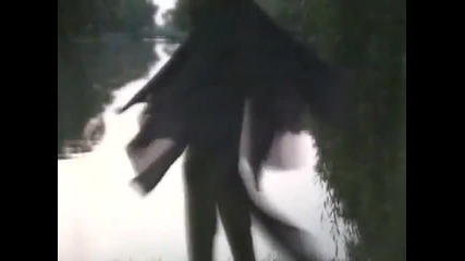 Sneki 1992 - Kuda ide ljubav