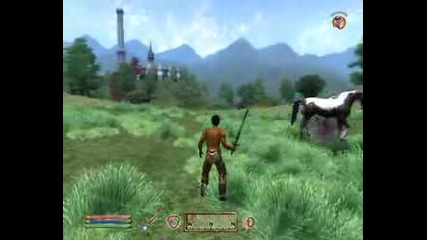 Stoned Horses In Oblivion
