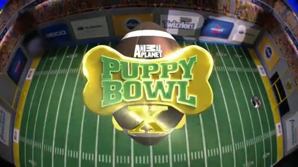 Top Ten Camera Hogs Puppy Bowl X