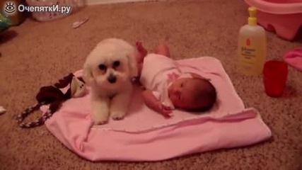 Малко куче пази бебе от прахосмукачка