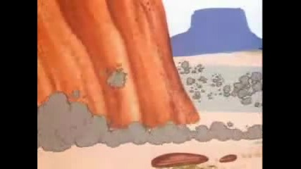 Койот И Път Бегач