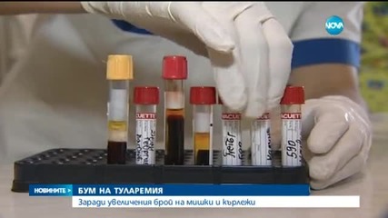 Бум на туларемия