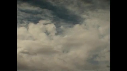 Brad Pitt~tribute