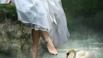 Yanni Secret Vows