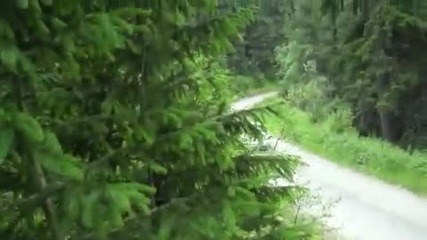 Wrc Rally Bulgaria 2010 Ден втори 