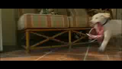 Marley and Me Trailer
