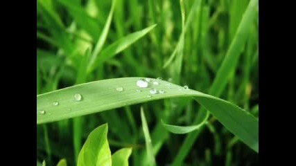 Raindrops Keep Falling on My Head - Bj Thomas with lyrics (audio Only) 