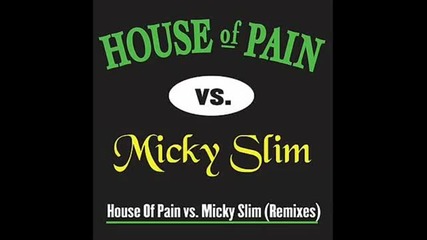 House of pain - Jump Around (micky Slim Remix)