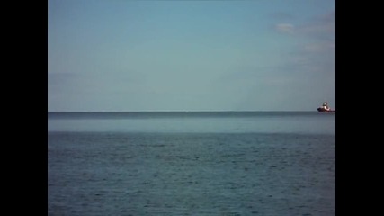 Делфини 1 22.09.2012