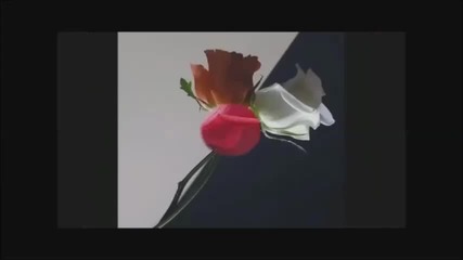 Sarah Brightman & Andrea Bocheli - Любовта е опиат