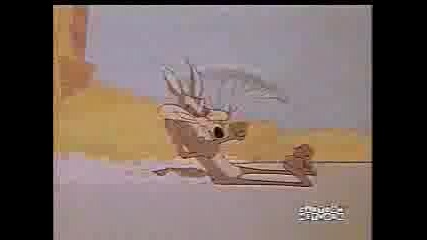 Road Runner