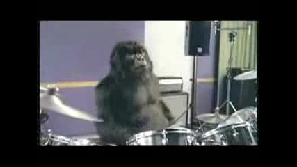 Phil Collins - Gorilla Drummer