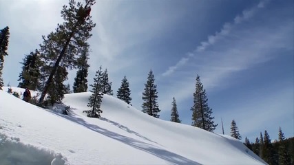 Jackass 3d Trailer [ High Definition]