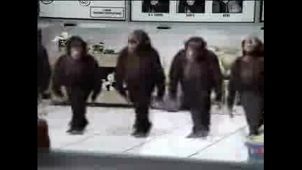 Dancing Monkey=lord of the dance 