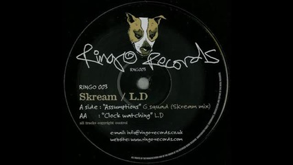G Squad - Assumptions (skream remix)