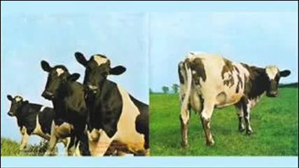 Pink Floyd - Atom Heart Mother (1970) [full Album]