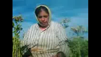 dida belgiq